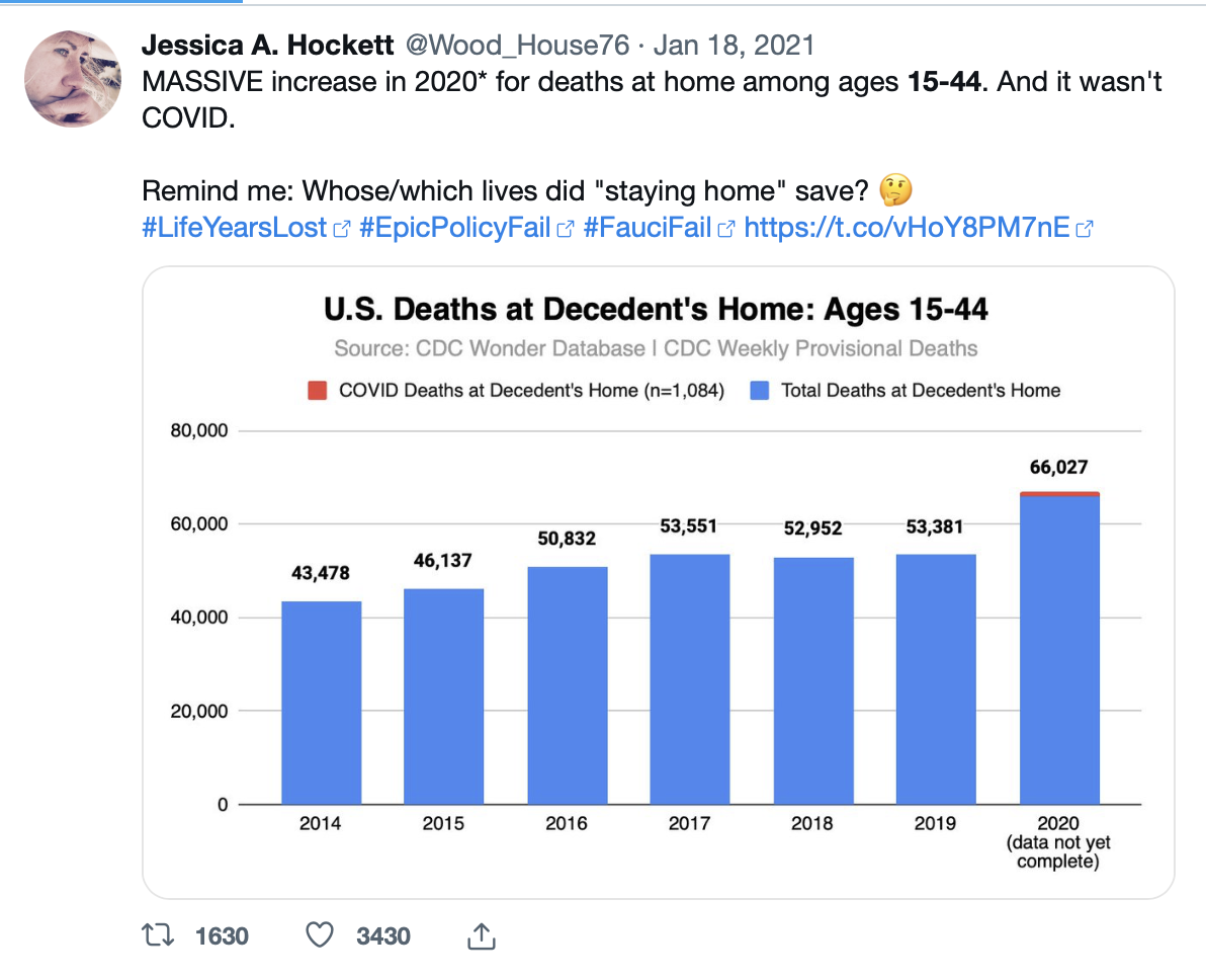 Interaction with Scott Adams on 19 January 2021 regarding deaths of 15-44 YOs at home