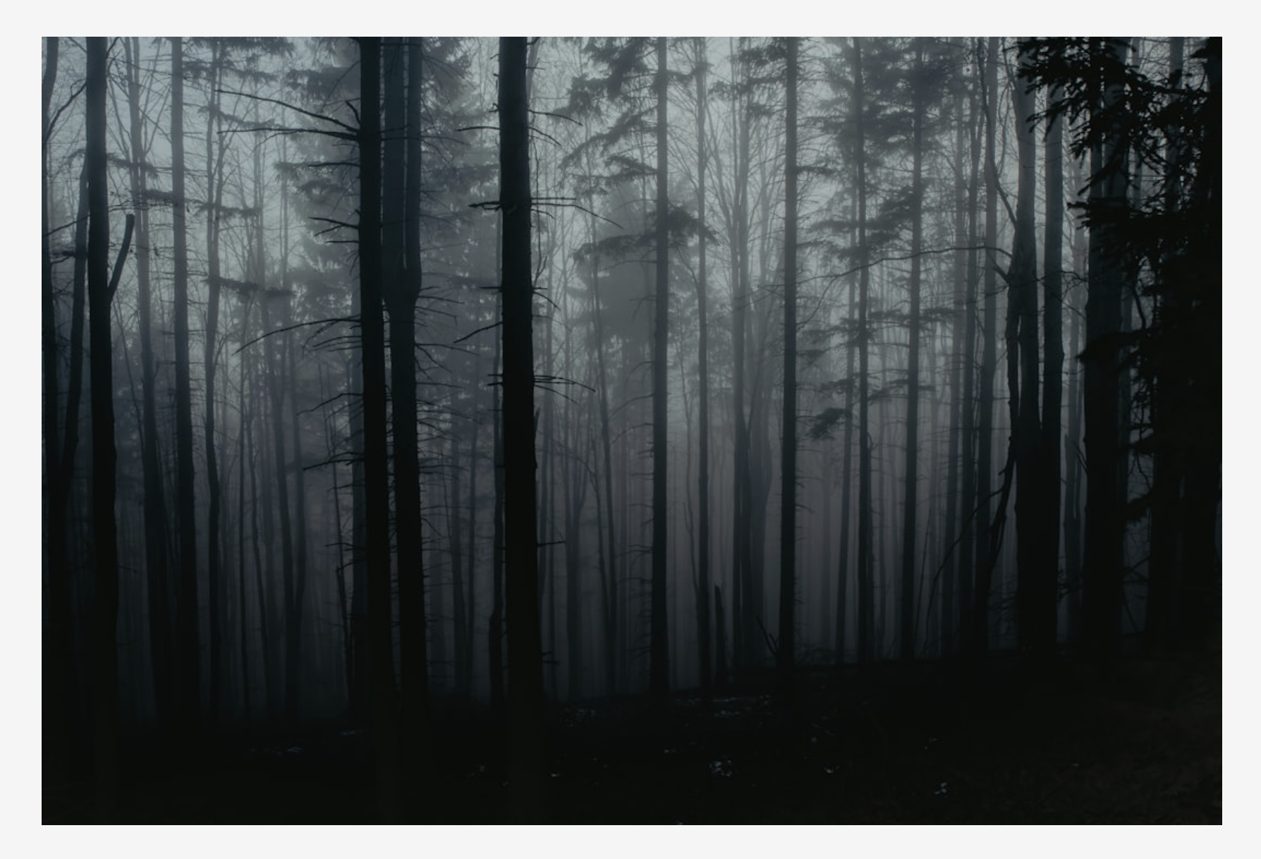 “Something wicked this way comes”