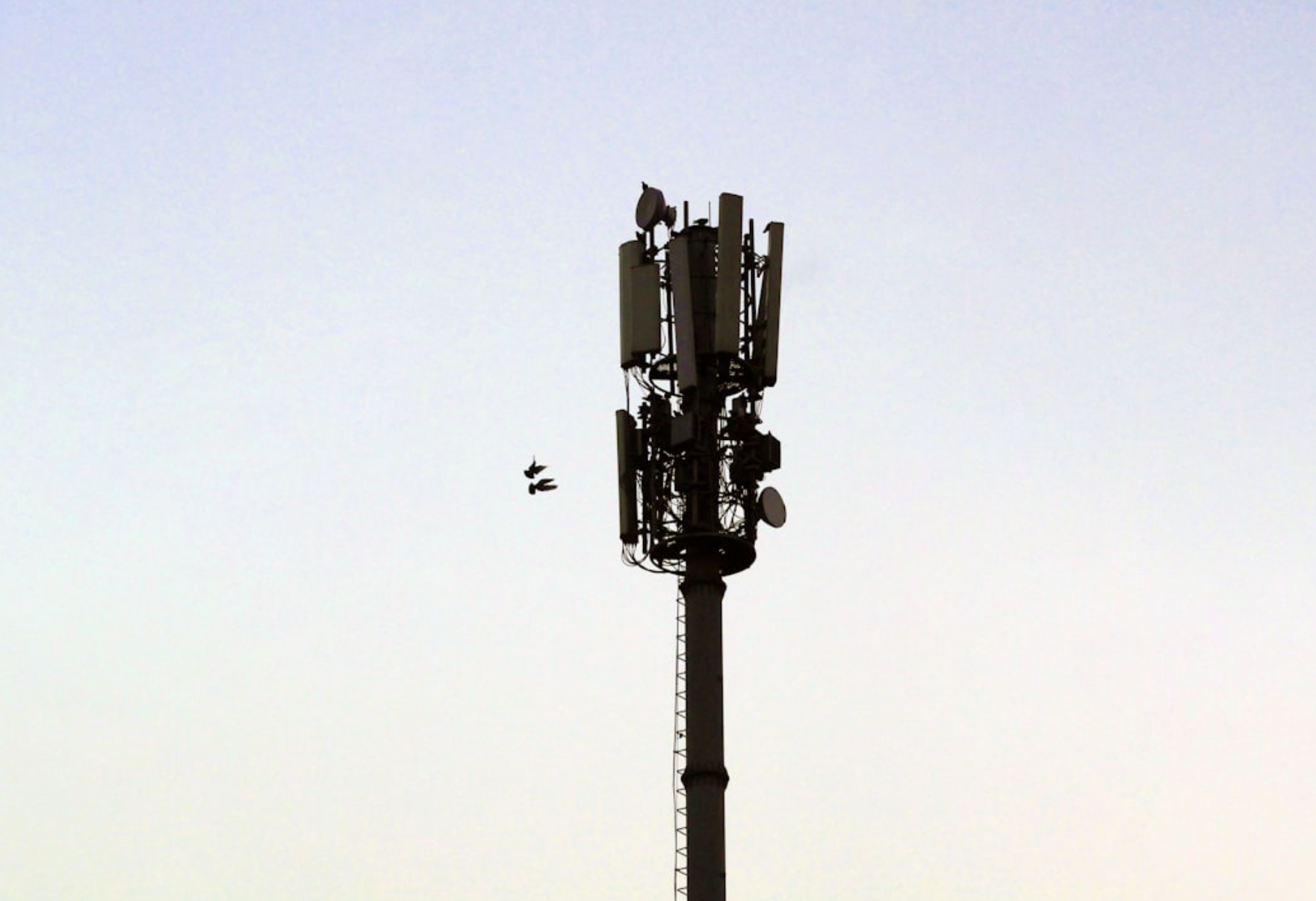 Memo: 5G and COVID