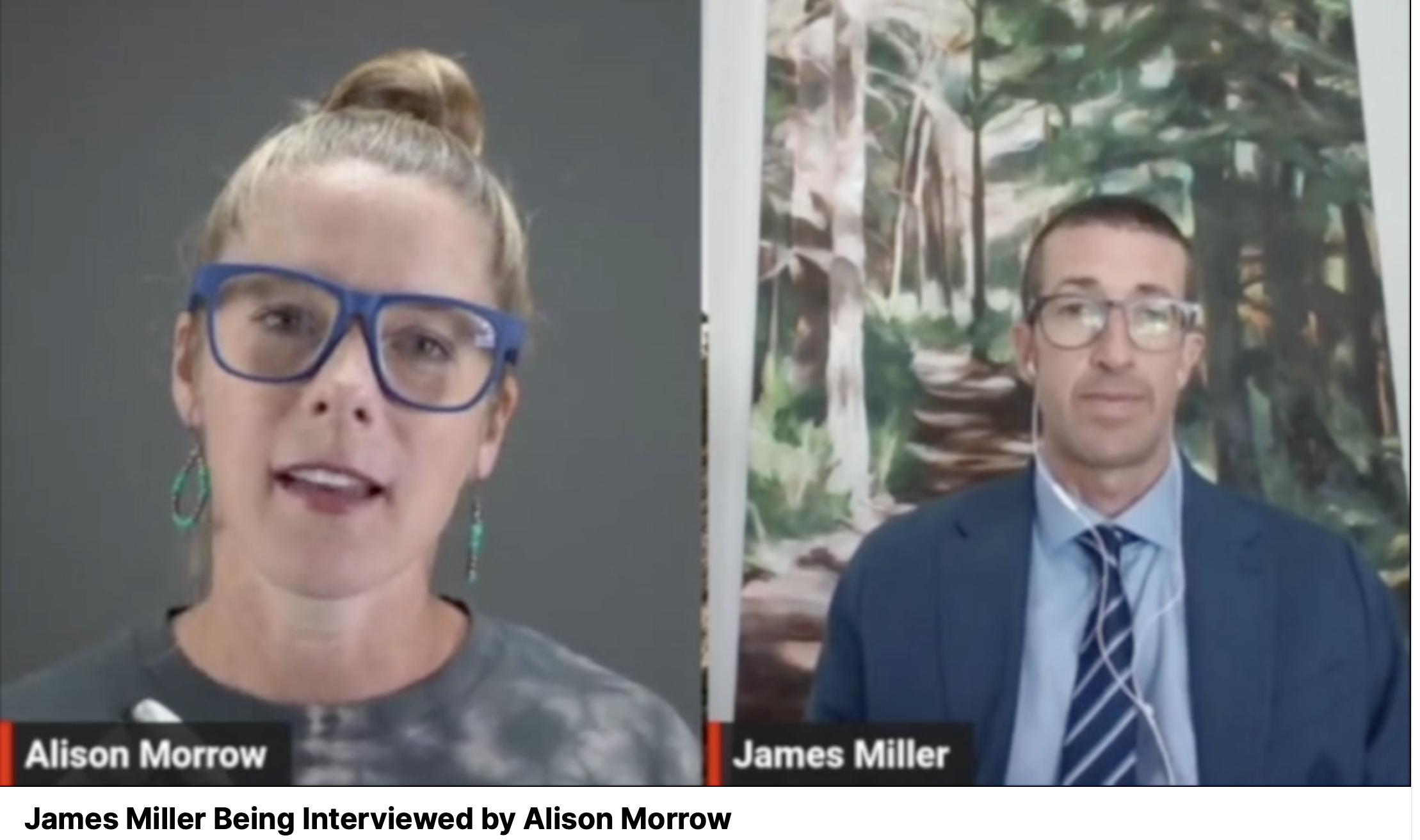 The Whistleblower: My Reactions to the Sworn Testimony of Dr. James Miller