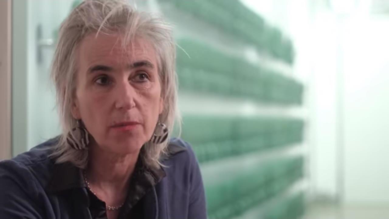Did Marion Koopmans Lie Under Oath? [Republication]